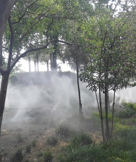 河南漯河米孚别墅区绿化造雾环保美化系统质量好图片2