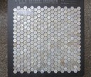 15的六边形白贝马赛克HexagonWhiteShellMosaic图片