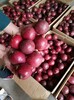 一級新鮮大紅紫香百香果果園長期供應一件代發