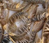 越南盐渍虾进口清关海关会审价多少？