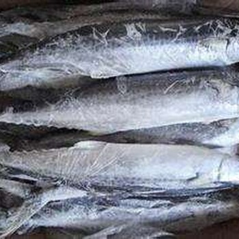 财运亨通！！青岛冰鲜三文鱼进口关税是多少三文鱼进口通关进展查询
