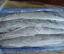 厄瓜多尔冻虾进口报关报检海鲜进口清关行图片