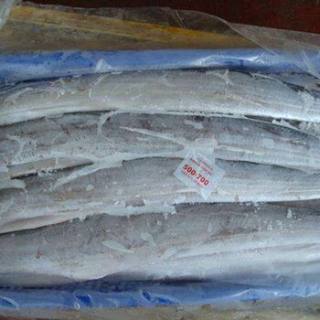 上海港鳟鱼进口清关种类和鳟鱼进口清关流程