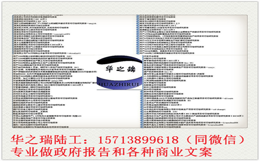 西乡县做可行性报告西乡县写可行性报告立项