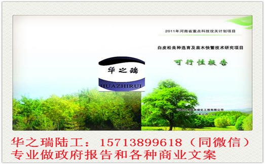 长宁县能做标书的单位-标书丰富