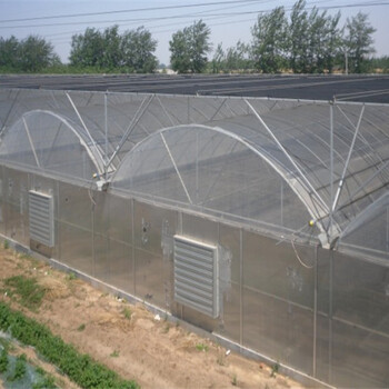 江西宜春食用菌香菇培植大棚溫室14絲薄膜型價格