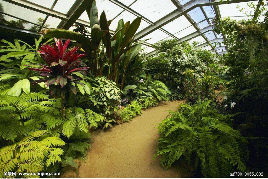 陕西宝鸡生态植物园玻璃温室型,4米开间报价