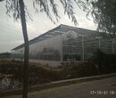 宁夏农业生态大棚温室绿色庄园5米、钢化玻璃墙体型建造企业