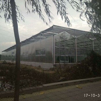 山东大型育苗玻璃大棚育苗温室5米抗风柱、单间跨度8米型造价