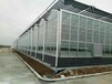 陕西商洛智能玻璃温室大棚展览大厅工程承建厂家