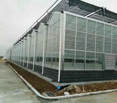 陕西西安无公害蔬菜玻璃温室暖房种植基地4米开间型承建厂家
