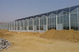 山東臨沂生態園林玻璃溫室餐廳生態酒店5米立柱、12米跨度型造價
