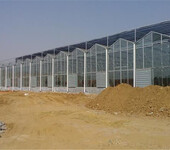 陕西农业采摘农产品销售一体玻璃大棚温室3万平米建造厂家