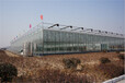 江西景德镇花卉种植温室大棚6米玻璃、高抗风型建造公司