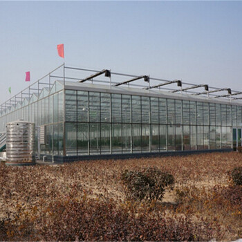 江西景德镇花卉种植温室大棚6米玻璃、高抗风型建造公司