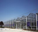安徽绿色蔬菜玻璃温室大棚阳光房一键调温度湿度型承建公司