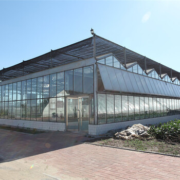 江西南昌绿色蔬菜大棚温室玻璃型示范园规划建造厂家