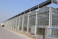 江西热带水果种植园大棚温室6米中空玻璃墙体、高强度镀锌骨架型报价