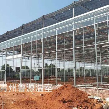 云南有機(jī)蔬菜種植大棚溫室陽光房4米鋼化玻璃墻、8米開間型造價