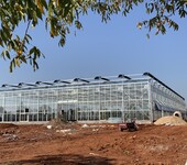 云南农村扶贫开发玻璃温室大棚5mm外墙、开跨8米1万平方项目总造价