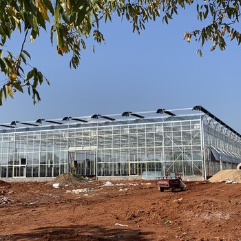 江苏兰花种植玻璃温室大棚16外墙、4米开间7000平米建设公司