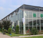 江西花卉苗木培育大棚温室8米大开间、内部独立基础9000平玻璃型价格