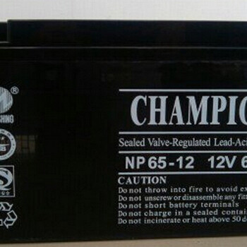 12V65AH蓄电池NP65-12UPS/EPS电源现货