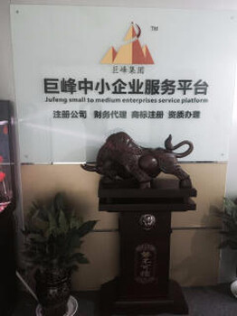 上海地区代理记账可以提供财务信息注册公司