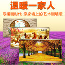 墻暖畫(huà)石墨烯碳晶電暖畫(huà)陜西墻暖畫(huà)壁畫(huà)壁掛式電暖器暖氣電熱板取暖器家電暖畫(huà)