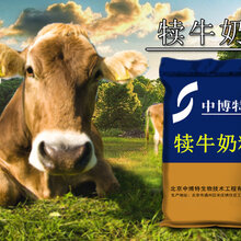 如何使用犊牛奶粉图片