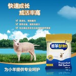 哺乳羔羊的饲养技术与奶粉小羊代乳粉