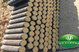 混凝土仿木桩混凝土仿木桩品牌/图片/价格_混凝土