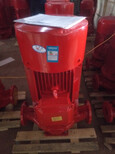 消防泵XBD20-90-HY恒压切线泵XBD20-100-HY图片3