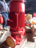 消防泵XBD20-90-HY恒压切线泵XBD20-100-HY图片4