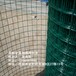 四川厂家绿色电焊网，鸡鸭圈养网，浸塑电焊网