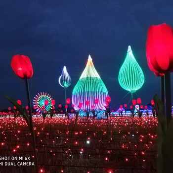 大型灯光节景区未来展服务好