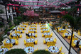 吉林松原商务宴请生态酒店餐厅玻璃顶、集观光一体