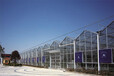 贵州六盘水热带水果温室暖房大棚玻璃中空墙型建设公司
