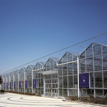 贵州生态养老型温室大棚玻璃侧墙、顶部阳关板覆盖遮阳好建造厂家