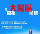 拓展粤港澳大湾区，大湾区市场分析顾问图片