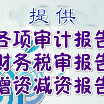 海南公司出具审计报告，海口投标审计报告