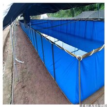 环保抗老化pvc加厚涂层防水刀刮布水池游泳池养殖帆布鱼池锦鲤池龟池大型种植蓄水池图片
