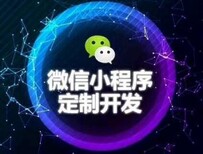 小程序开发制作全网营销网站建设APP开发图片0