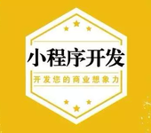 小程序开发运营公众号制作运营软件开发网站建设