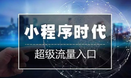 哈尔滨百科标记小程序公众号开发运营网站建设优化图片1