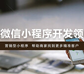 小程序公众号APP开发网站软件游戏制作美团设计运营百科