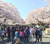 2019第13届日本国际园艺用品展览会13thInternationalGardenExpoTokyo2019