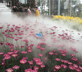贵州生态城景观喷雾技术研发，喷雾景观加湿净化空气，雾森景观人造雾技术