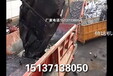杭州废旧汽车拆解设备工作效能，报废车粉碎机维护成本介绍生意有提成