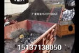 淮北重型报废汽车破碎机技术参数，大型汽车壳子破碎机厂价上门安装调试
